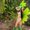 Photo of Ilona N.