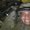 Photo of Ryan R.