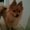 Photo of Trixie M.