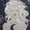 Photo of Silver B.