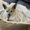 Photo of Roxy T.