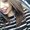 Photo of Alexa P.