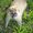 Photo of Rebecca H.