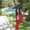 Photo of Niloufar H.
