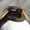 Photo of Qype User (presto…)