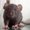Photo of Qype User (Kampfk…)
