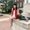 Photo of Carley G.