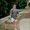 Photo of Karic G.