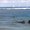 Photo of Cityvox User (miloud…)