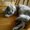 Photo of Deanne M.