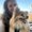 Photo of Kecia M.