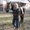 Photo of Debi T.