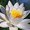 Photo of Qype User (oceanb…)