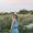 Photo of Shani G.