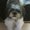 Photo of Addy M.