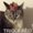 Photo of Tabitha K.