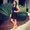 Photo of Maddie D.