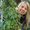Photo of Cheryll G.
