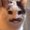 Photo of Mango P.