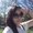 Photo of Lisa N.