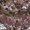 Photo of H P.