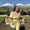 Photo of Ali G.