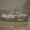 Photo of Some Random C.