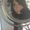 Photo of Tiffany N.