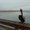 Photo of Chantel S.