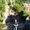Photo of R. R.