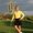 Photo of Linda S.