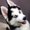 Photo of Hyper H.