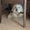 Photo of Susie Q.