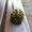 Photo of Qype User (mattes…)