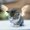 Photo of Qype User (stef0…)