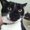Photo of Jack P.
