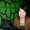 Photo of Nicole Y.