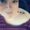 Photo of Tabatha R.