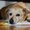 Photo of Mindy S.