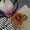 Photo of Mireya M.