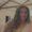 Photo of Maura M.