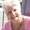 Photo of Susi P.