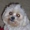 Rockie C.