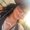 Photo of Alycia S.
