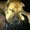 Photo of Jenan F.