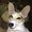 Photo of Jody D.