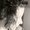 Photo of Becky B.