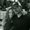 Photo of Lynne L.