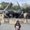 Photo of Anika S.