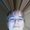 Photo of Joey P.